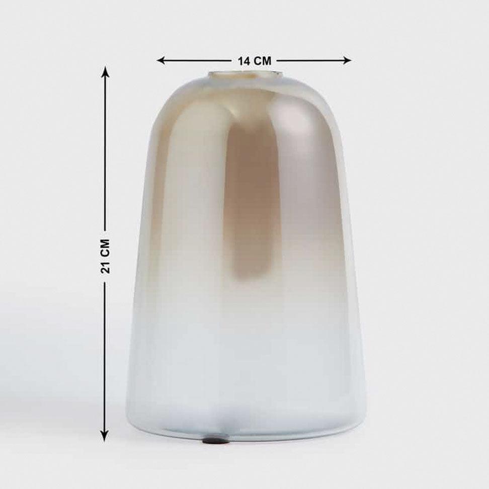 Glass Dome Vase - Curiocart