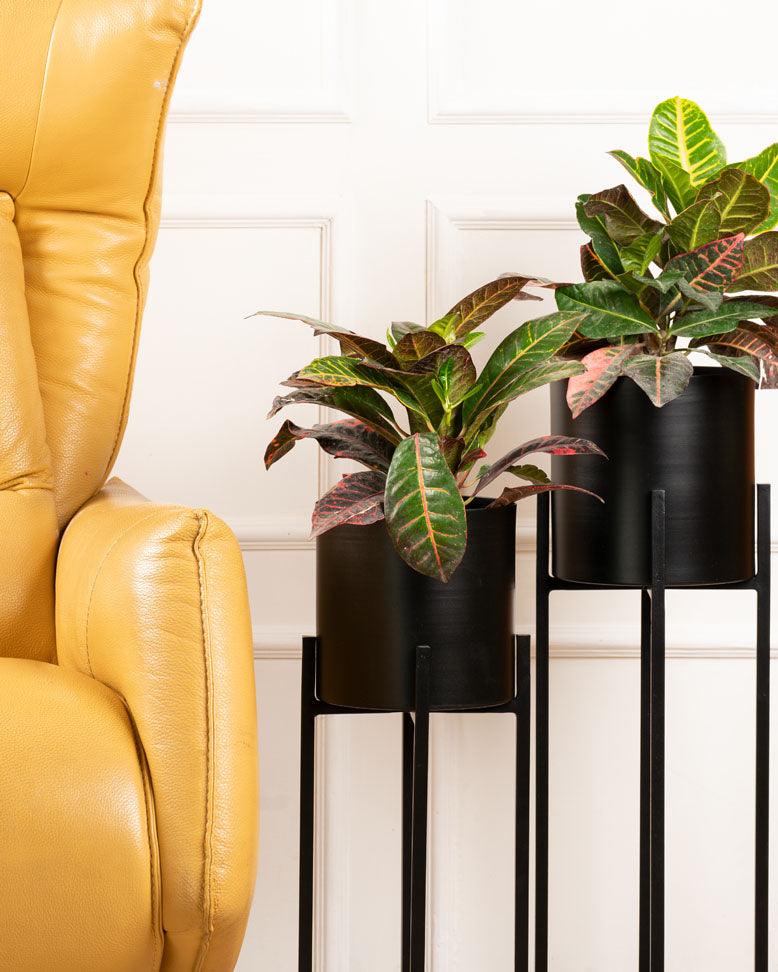 Set of 3 Metal Planters with Stands - Curiocart