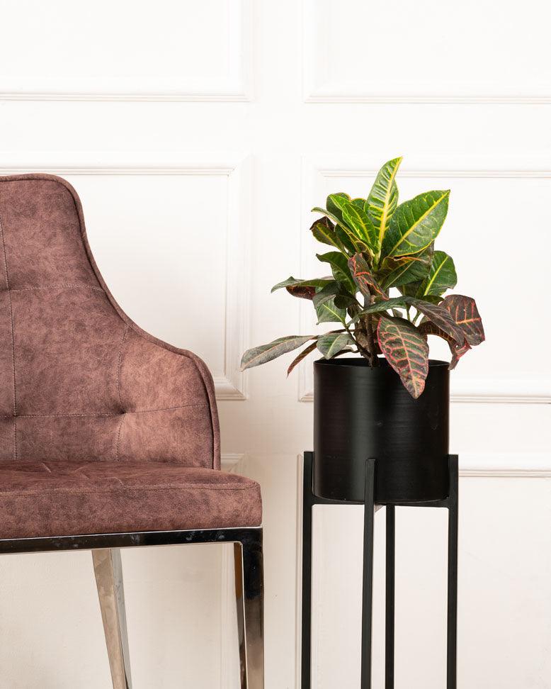 Set of 3 Metal Planters with Stands - Curiocart