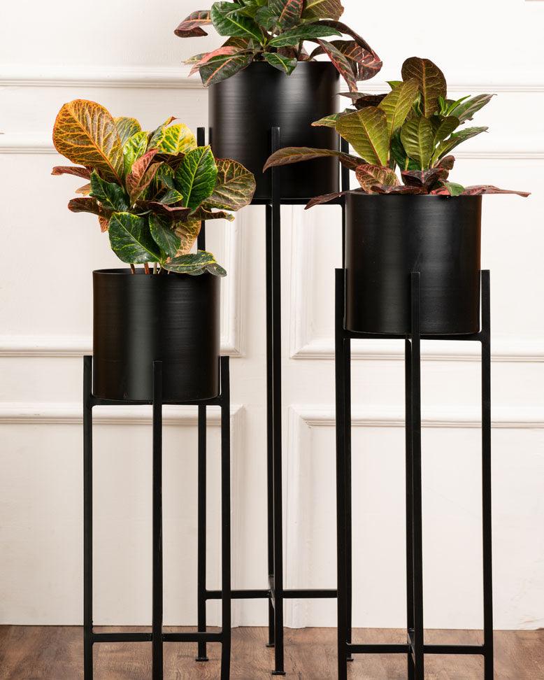 Set of 3 Metal Planters with Stands - Curiocart