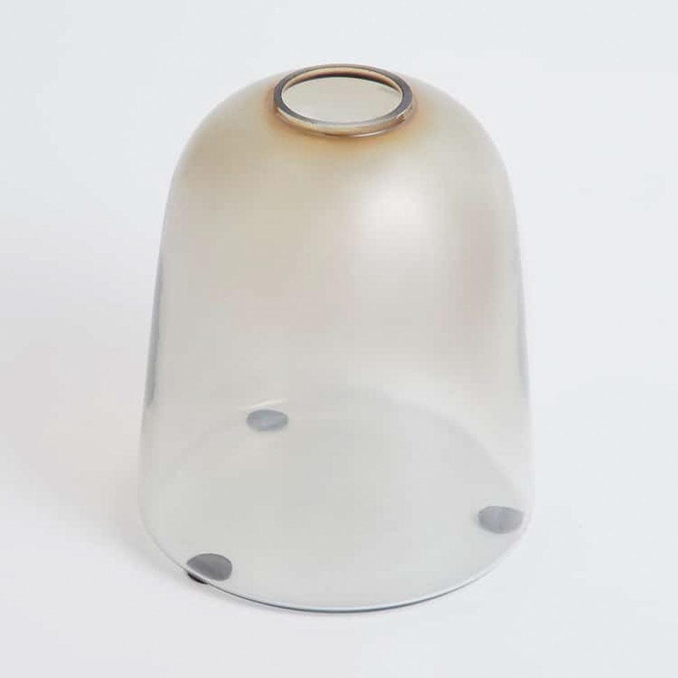 Glass Dome Vase - Curiocart