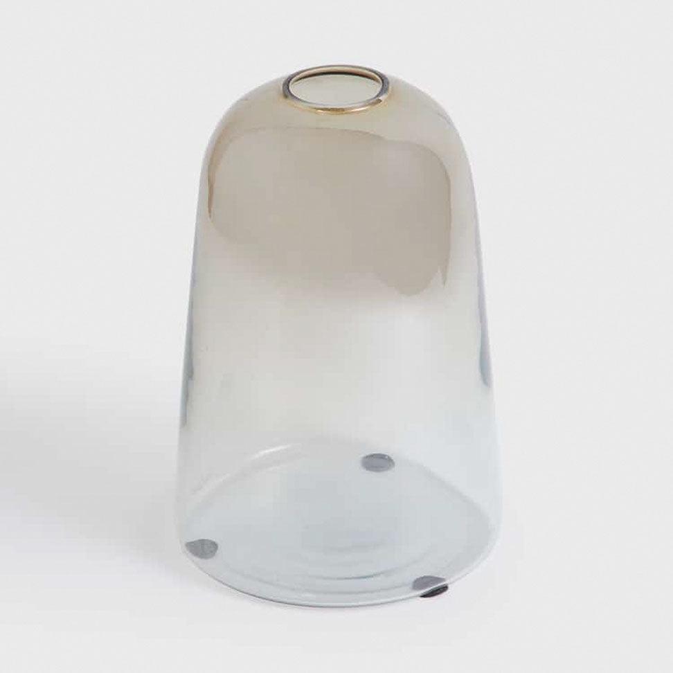 Glass Dome Vase - Curiocart