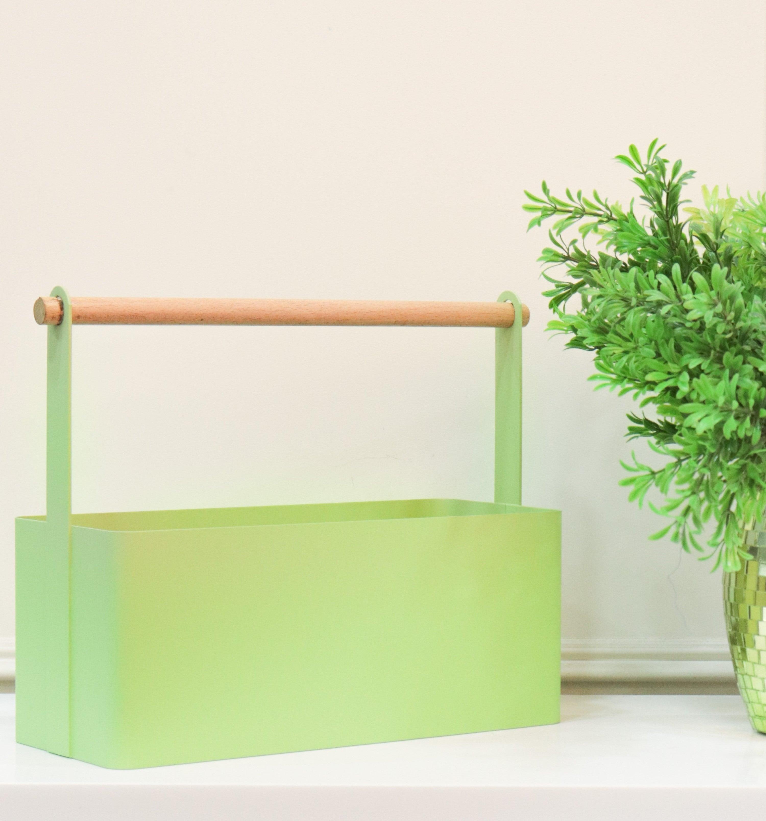 Storage Caddy with wooden grip - Curiocart