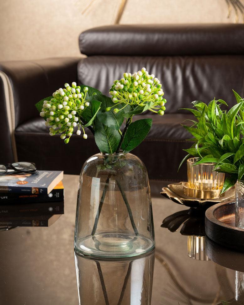 Glass Dome Vase - Curiocart