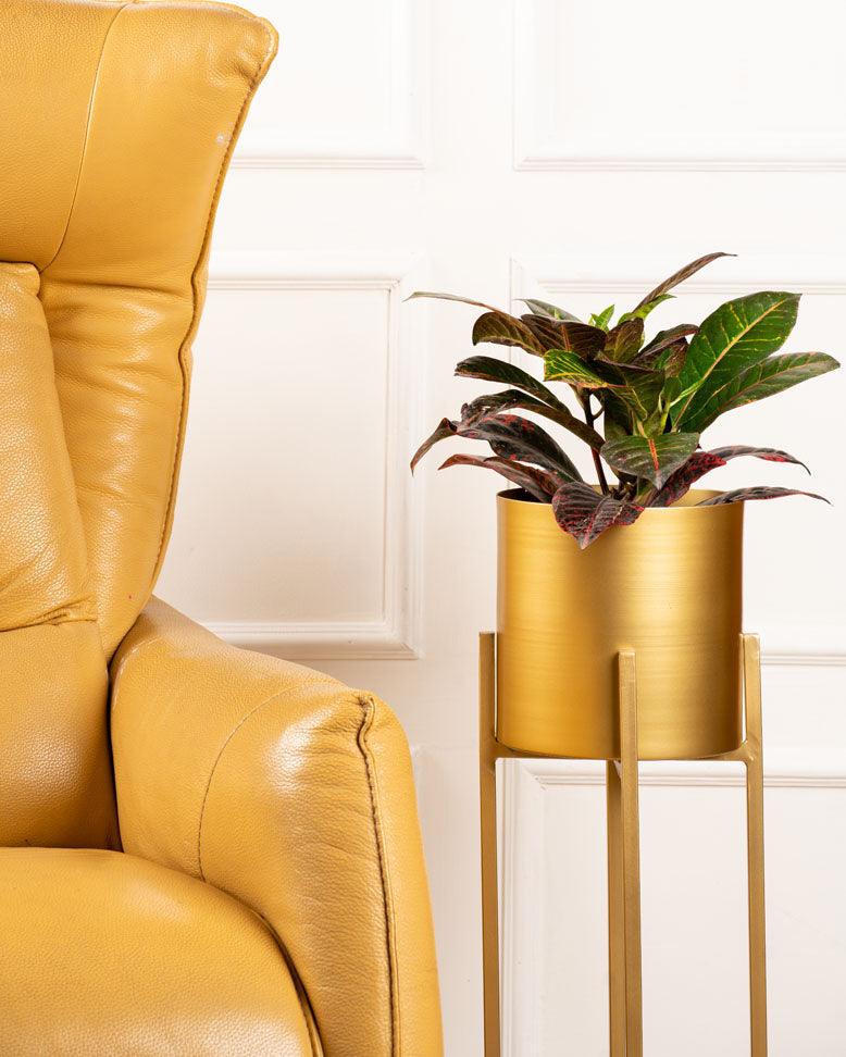 Set of 3 Metal Planters with Stands - Curiocart