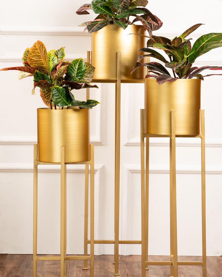 Set of 3 Metal Planters with Stands - Curiocart