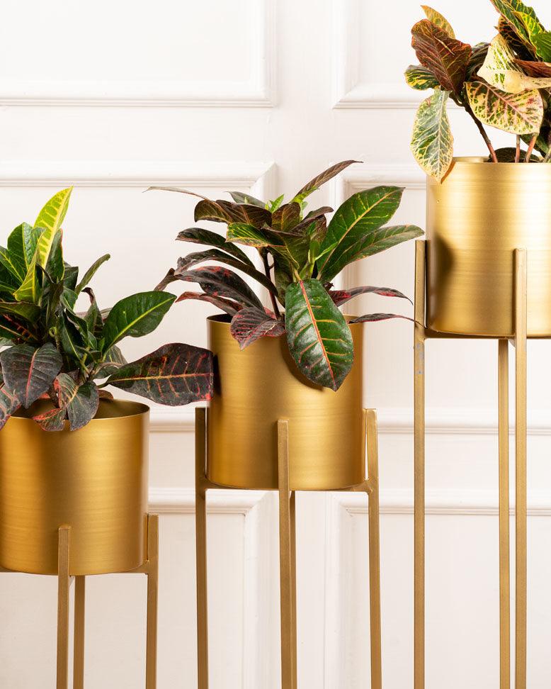 Set of 3 Metal Planters with Stands - Curiocart