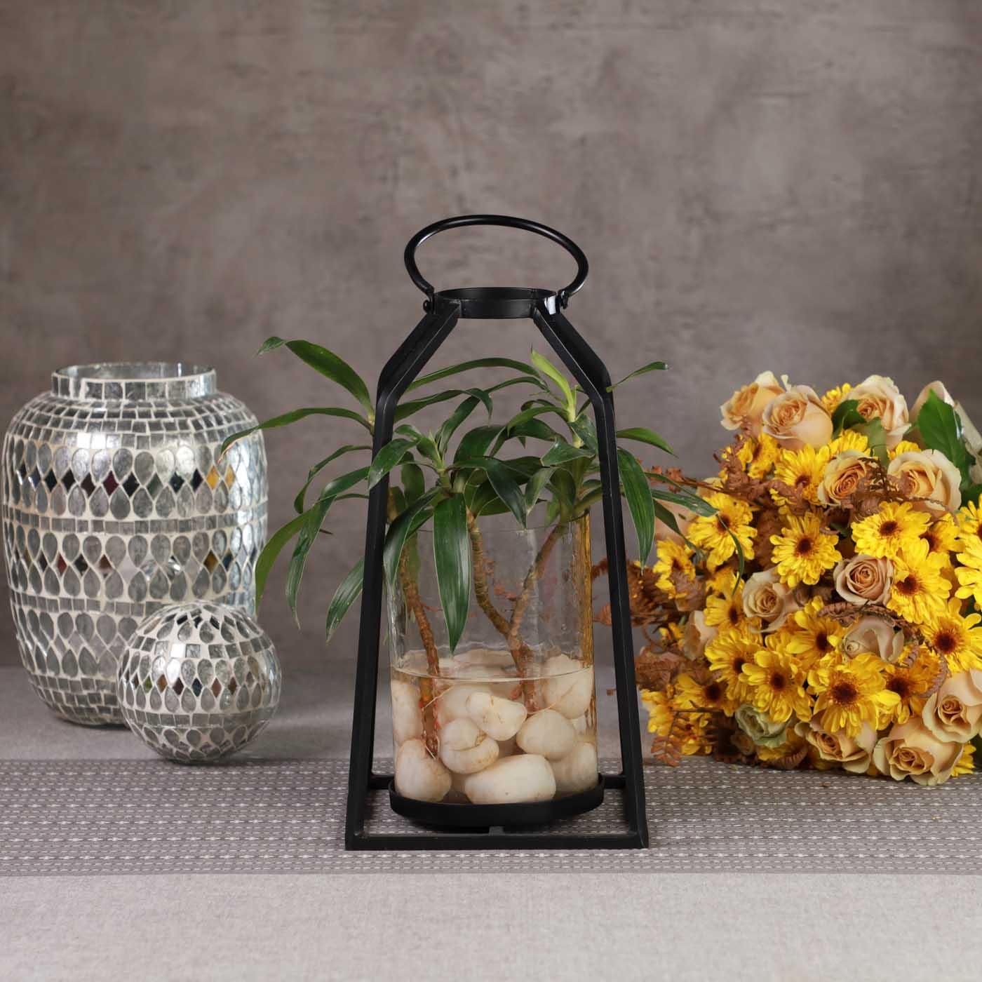 Candle Holder - Curiocart