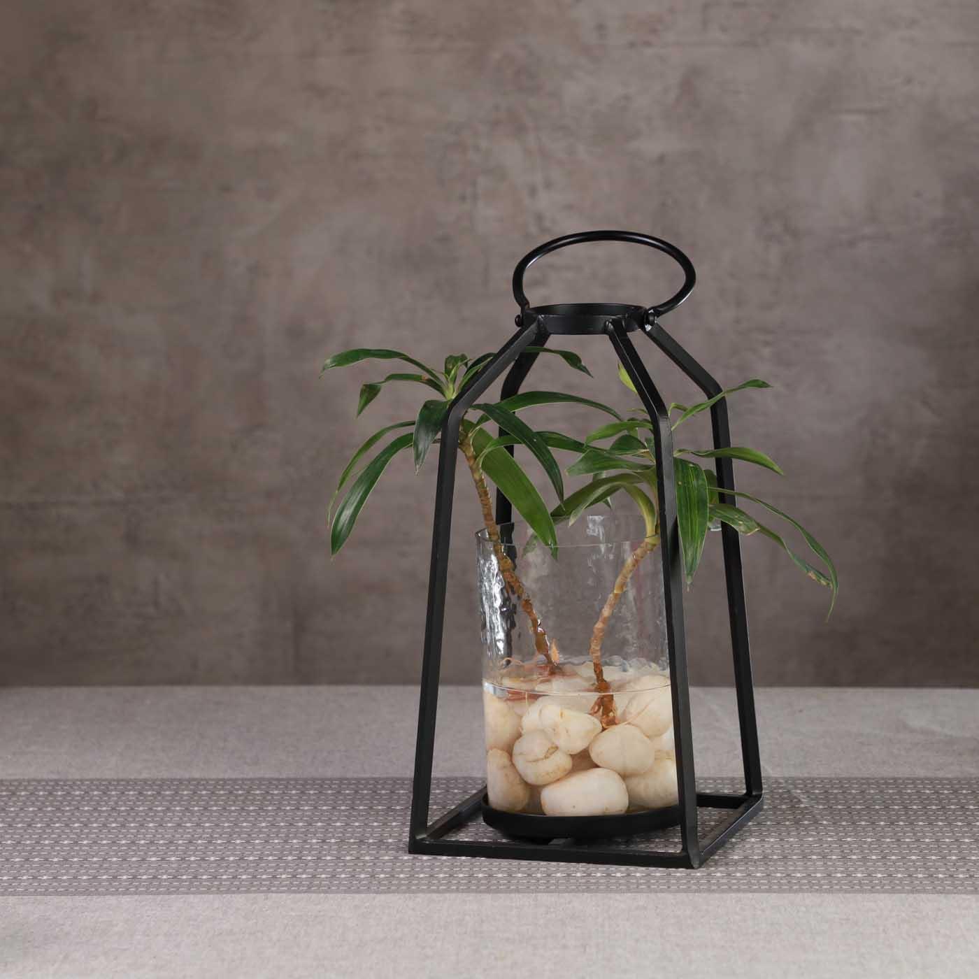 Candle Holder - Curiocart