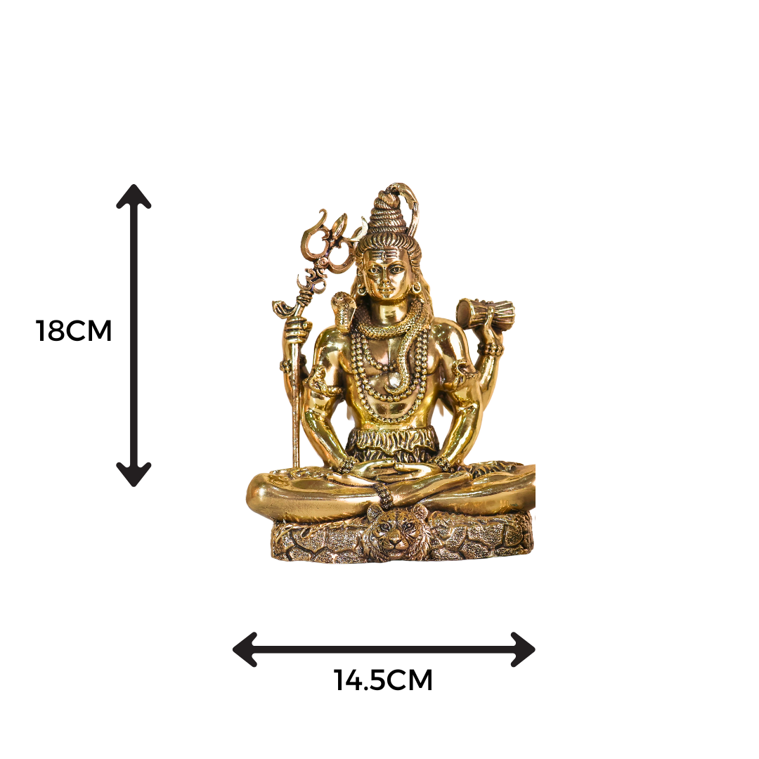 Divine Shiva Idol