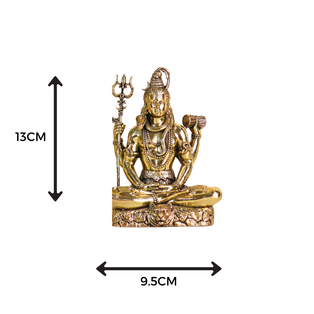 Divine Shiva Idol