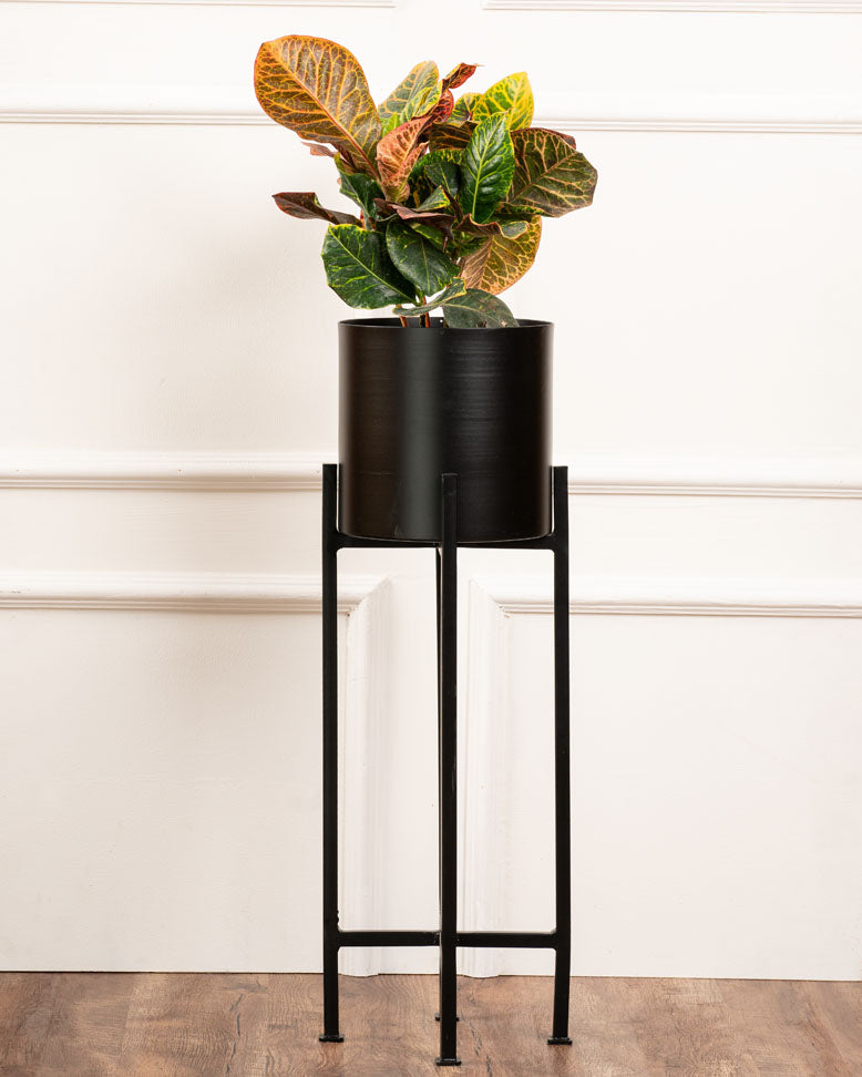 Set of 3 Metal Planters with Stands